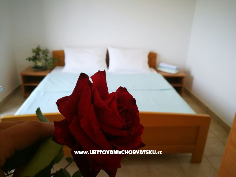 Appartements Elenor – Ferienwohnung Insel Pag, Kroatien – Foto 4