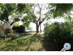 Apartmaji FRANE - ostrov Pag Hrvaka