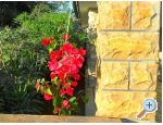 Appartements Glaser - ostrov Pag Croatie