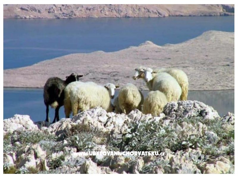 Apartmány Lili – foto 44