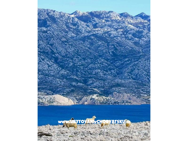 Apartmány Lili – foto 45