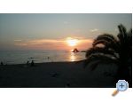 Apartmaji Lili - ostrov Pag Hrvaka