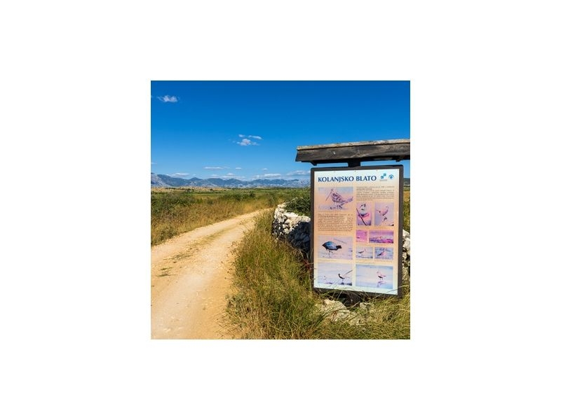 Appartements Mara – Ferienwohnung Insel Pag, Kroatien – Foto 12