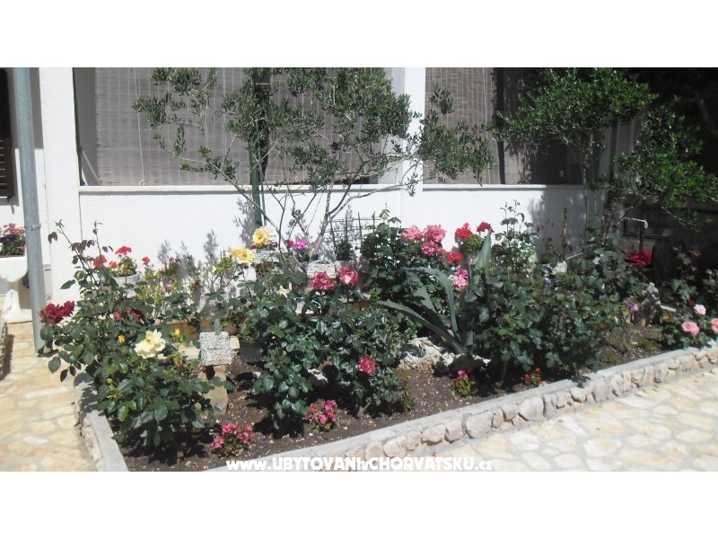 Appartements Marija – Ferienwohnung Insel Pag, Kroatien – Foto 18