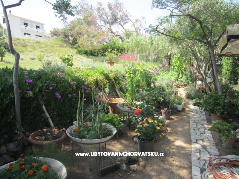 Appartements Mediteran Pag – Ferienwohnung Insel Pag, Kroatien – Foto 10