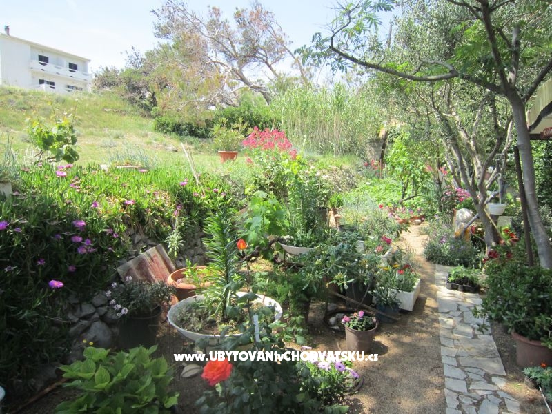 Appartements Mediteran Pag – Ferienwohnung Insel Pag, Kroatien – Foto 11