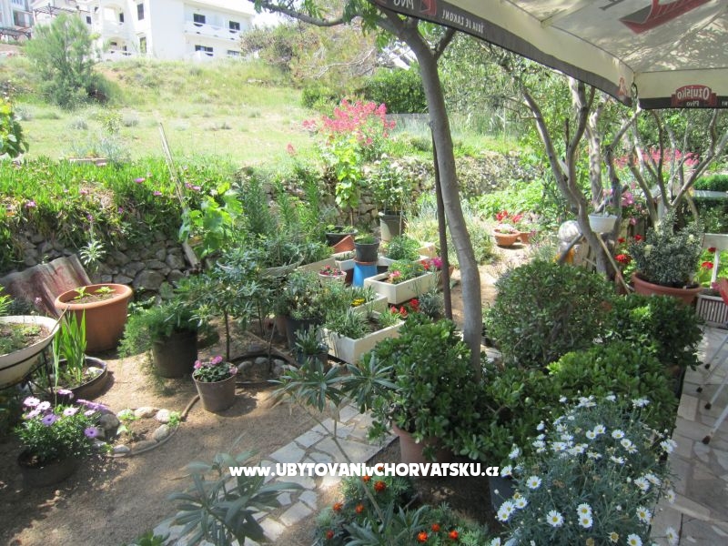 Appartements Mediteran Pag – Ferienwohnung Insel Pag, Kroatien – Foto 8