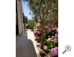 Apartmaji Milena i Robert - ostrov Pag Hrvaka