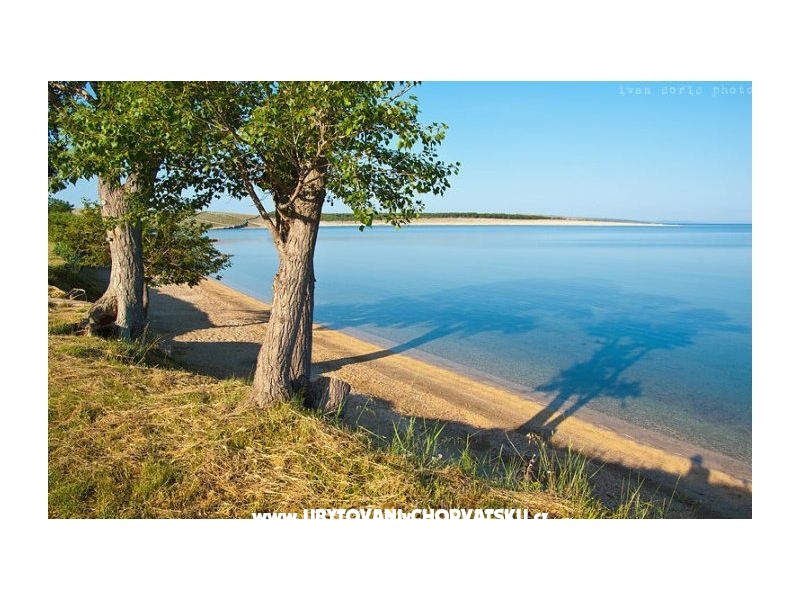 Appartements Nada – Ferienwohnung Insel Pag, Kroatien – Foto 6