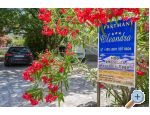 Apartmaji Oleandra - ostrov Pag Hrvaka
