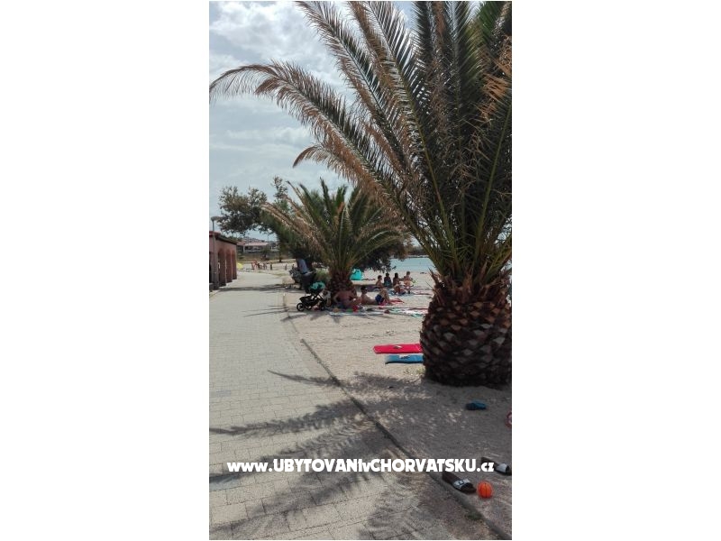 Appartements Petra – Ferienwohnung Insel Pag, Kroatien – Foto 6