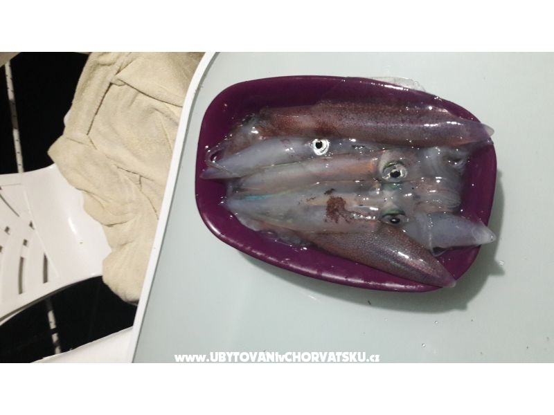 Appartements RIA 2 – Ferienwohnung Insel Pag, Kroatien – Foto 12