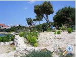 Apartmaji Salvia island Pag Mandre - ostrov Pag Hrvaka