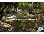 Apartmaji Salvia island Pag Mandre - ostrov Pag Hrvaka