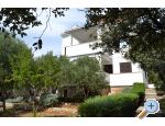 Apartmaji Salvia island Pag Mandre - ostrov Pag Hrvaka