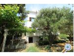 Apartmaji Salvia island Pag Mandre - ostrov Pag Hrvaka