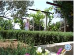Apartmaji Salvia island Pag Mandre - ostrov Pag Hrvaka