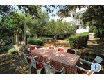 Apartmaji Salvia island Pag Mandre - ostrov Pag Hrvaka