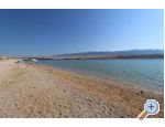 Apartmaji Salvia island Pag Mandre - ostrov Pag Hrvaka