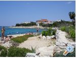 Apartmaji Salvia island Pag Mandre - ostrov Pag Hrvaka