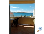Villa Lilly (apartmani) - ostrov Pag Kroatien