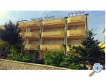 Villa Lilly (apartmani) - ostrov Pag Hrvaka