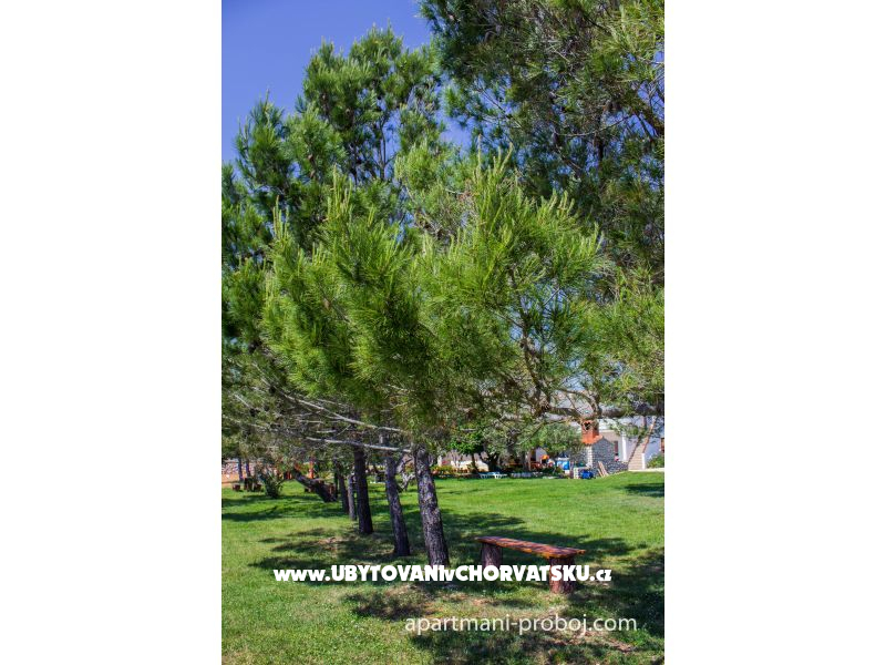 Appartements Proboj – Ferienwohnung Insel Pag, Kroatien – Foto 10