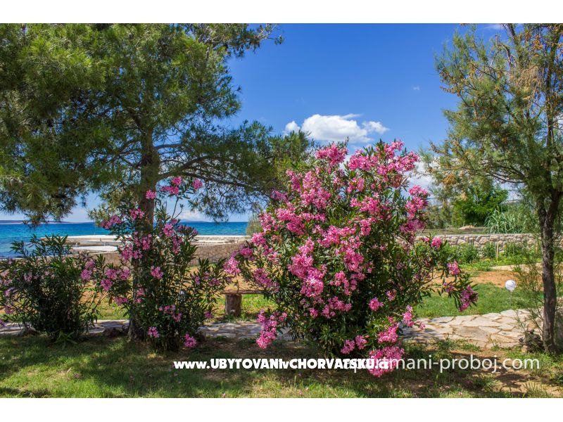 Appartements Proboj – Ferienwohnung Insel Pag, Kroatien – Foto 16