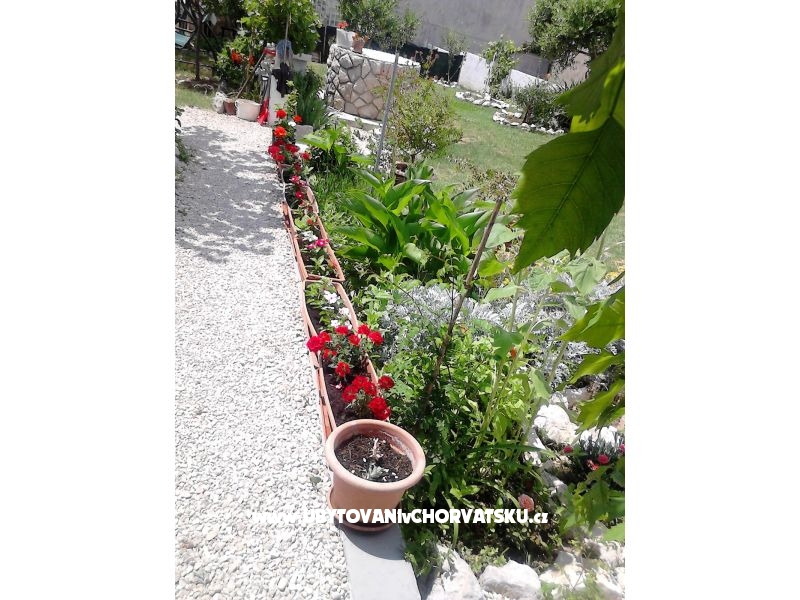 Appartements Center Pag – Ferienwohnung Insel Pag, Kroatien – Foto 11