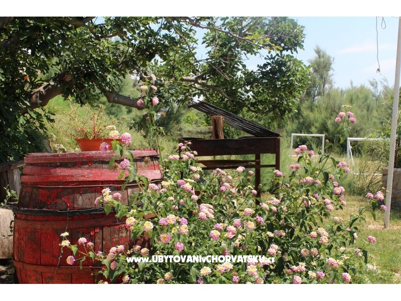 Ferienwohnungen Marela – Ferienwohnung Insel Pag, Kroatien – Foto 3