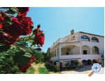 Apartments Petrovi