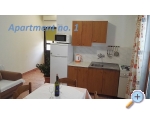 Apartmaji Vickovi - ostrov Pag Hrvaka
