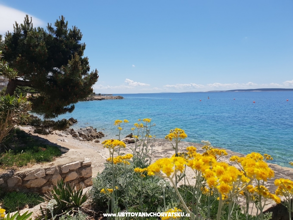 Stargo Appartements - ostrov Pag Croatie