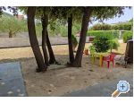 Appartements Ruica Mandre - ostrov Pag Kroatien