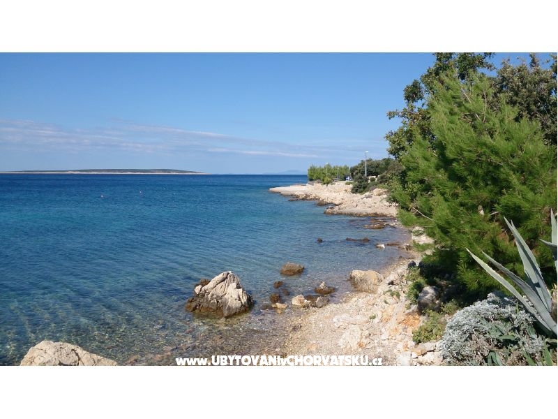 Marea Appartements Mandre – Ferienwohnung Insel Pag, Kroatien – Foto 13