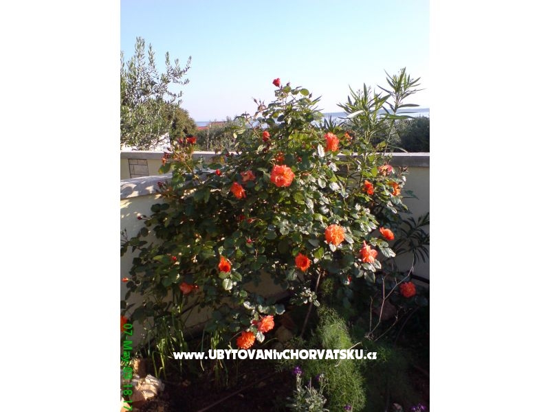 Marea Appartements Mandre – Ferienwohnung Insel Pag, Kroatien – Foto 6