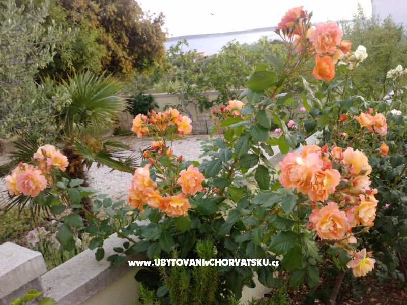 Marea Appartements Mandre – Ferienwohnung Insel Pag, Kroatien – Foto 8