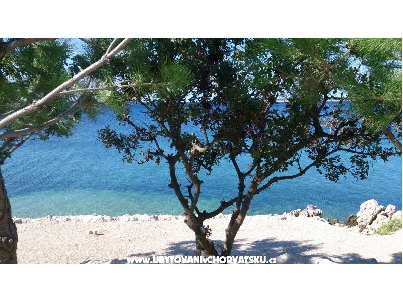 Marea Appartements Mandre – Ferienwohnung Insel Pag, Kroatien – Foto 9