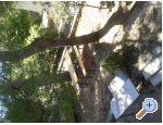 Apartment Rovanjska - Starigrad Paklenica Kroatien