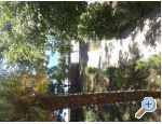 Apartment Rovanjska - Starigrad Paklenica Kroatien