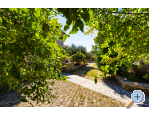 Appartements Adriana - Starigrad Paklenica Kroatien