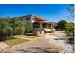 Apartmaji Adriana - Starigrad Paklenica Hrvaka