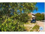 Apartmaji Adriana - Starigrad Paklenica Hrvaka