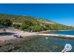 Appartements Ana - Starigrad Paklenica Kroatien