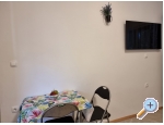 Appartements Cvekan i vino rakija shop - Starigrad Paklenica Kroatien