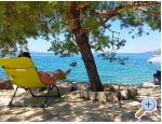 Appartements Cvekan i vino rakija shop - Starigrad Paklenica Kroatien