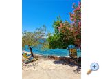 Appartements Cvekan i vino rakija shop - Starigrad Paklenica Kroatien