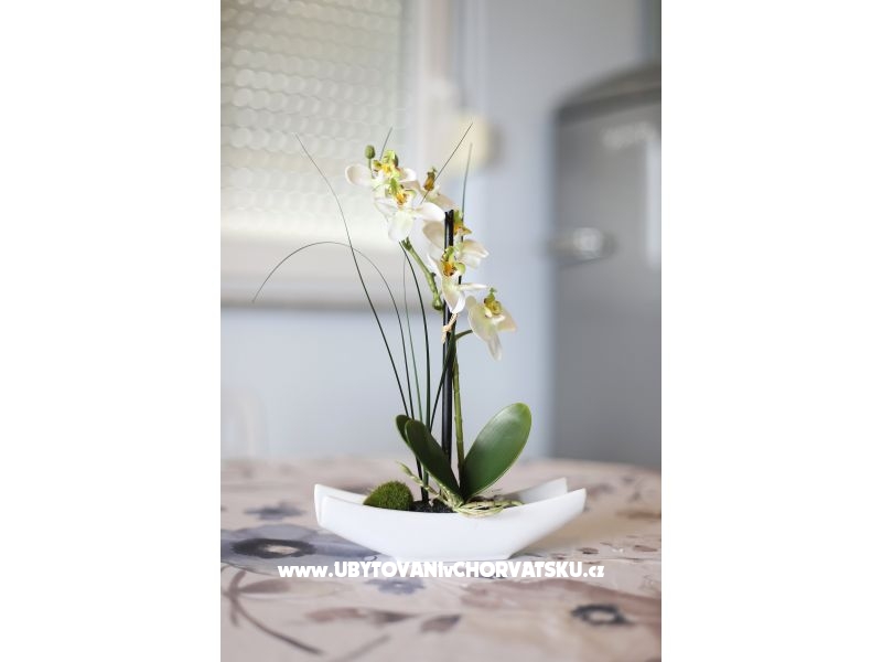 Appartements Tica – Ferienwohnung Starigrad Paklenica, Kroatien – Foto 16