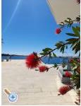 Appartements Tomic - Starigrad Paklenica Kroatien
