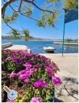 Appartements Tomic - Starigrad Paklenica Kroatien